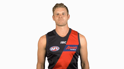 essendonfc giphyupload dons bombers essendon GIF