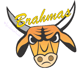 Bt Sticker by Brahma Tech