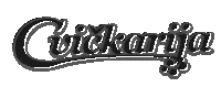 DRUSTVO-DNS dns dnsgifi cvickarija alwayscvick Sticker