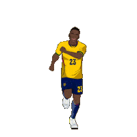World Cup Football Sticker by Panini America
