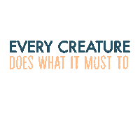 Quote Survive Sticker by Sony Pictures
