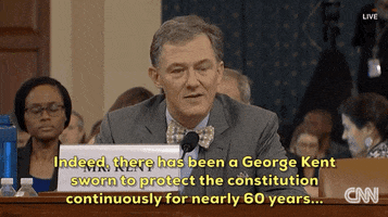news impeachment impeachment inquiry george kent GIF