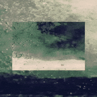 RuahEdelstein mothers day nest ruah GIF