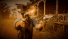 red dead redemption 2 rockstar GIF