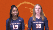 C-N Volleyball GIF by Carson-Newman Athletics