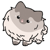 Dog Keeshond Sticker