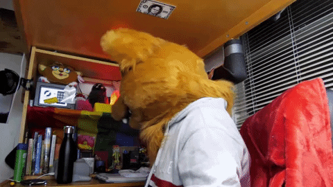 Turn Around What GIF