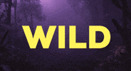 Wild Tiger GIF by CGTraveler - Carlos Garrido - Adventrgram