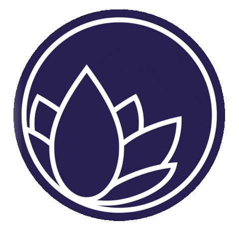 nanolexrussia giphyupload Sticker