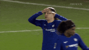cfc GIF by Chelsea FC