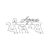 desiwebsite punjab sikh panjab sikhi Sticker