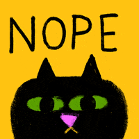 Black Cat No GIF