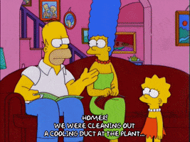 homer simpson GIF