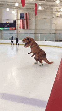 skating GIF