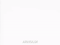 hey arnold nicksplat GIF