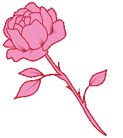Text Rose Sticker