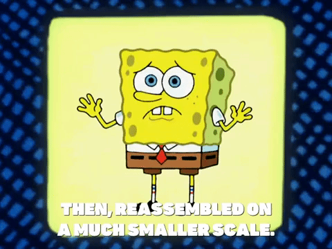 season 5 GIF by SpongeBob SquarePants