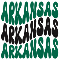 ACHEHealthEdu arkansas class of 2024 med school ache GIF