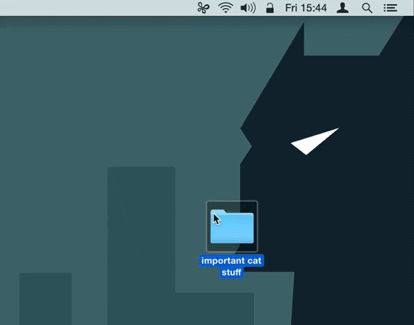photo GIF