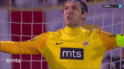 Partizan GIF by sportmts
