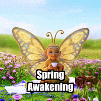 Spring Awakening Flowers GIF by BuddhaFlyJourney