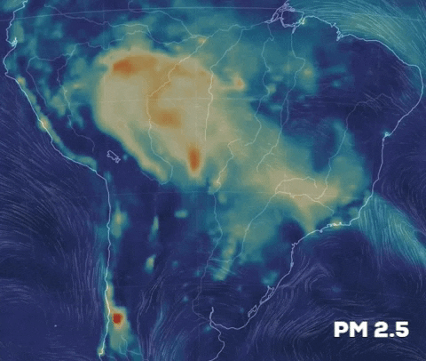elcolombiano giphygifmaker amazon amazonas amazonia GIF