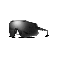 smith_optics smith Sticker