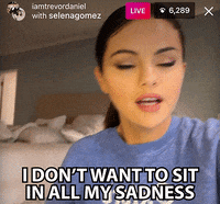 Past Life Sadness GIF by Selena Gomez