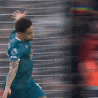 Premier League Football GIF by AFC Bournemouth