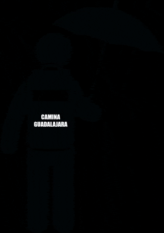 CaminaGDL giphygifmaker guadalajara caminar caminagdl GIF