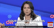 Tulsi Gabbard Dnc Debates 2019 GIF by GIPHY News