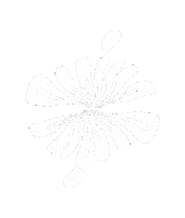 Dark Forest Sticker by Strictly Psychedelic