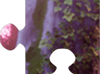 Puzzle Hitch Sticker by My Little Pony