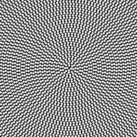Black And White Loop GIF by xponentialdesign