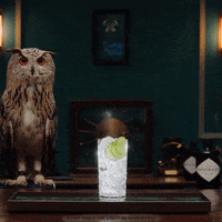 Gin And Tonic Water GIF by HENDRICK'S GIN