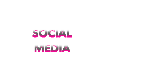 Social Media Redes Sociais Sticker by eBirds