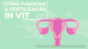 bandjornalismo  GIF