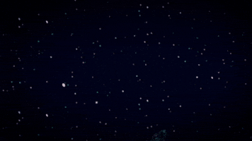 she and him christmas GIF by Columbia Records