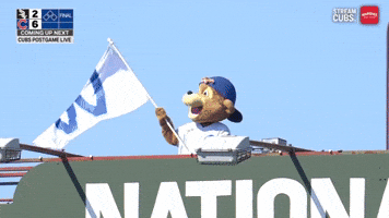 Chicago Cubs Baseball GIF by TheDreamTeam 
