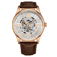 Travel Watch Sticker by Stuhrlingmx