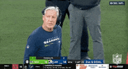 National Football League GIF by NFL