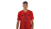 Fc Bayern Hello Sticker by Bundesliga