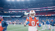 Football Nfl GIF by New England Patriots