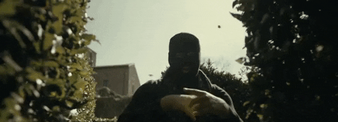 birds GIF by M Huncho