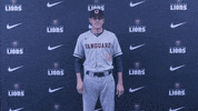 Vubase GIF by Vanguard Athletics