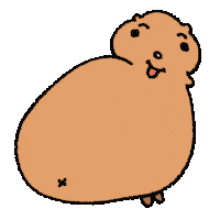 Quokka Sticker