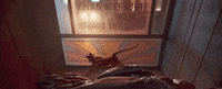 Cats 2019 GIF by Vulture.com
