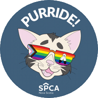 Halifax Pride Cat Sticker by Nova Scotia SPCA