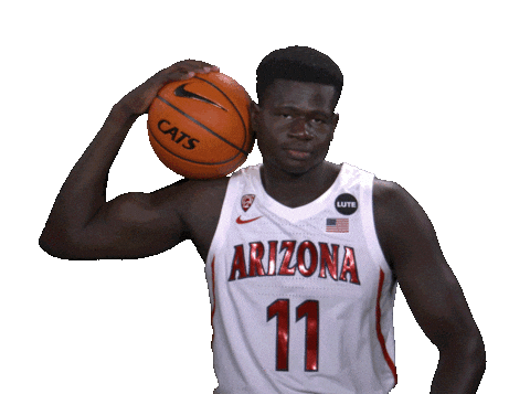 Arizona Wildcats Sticker by Arizona Men's Basketball
