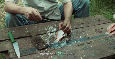 Experiences Are Harmful